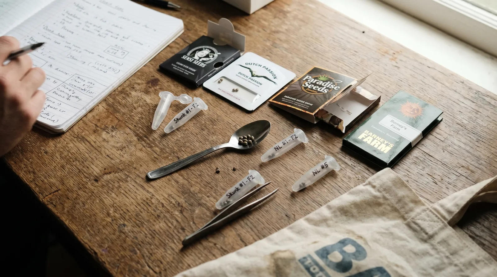 AZARIUS · Vad är egentligen en cannabisfröbank, och hur skiljer den sig från en förädlare?