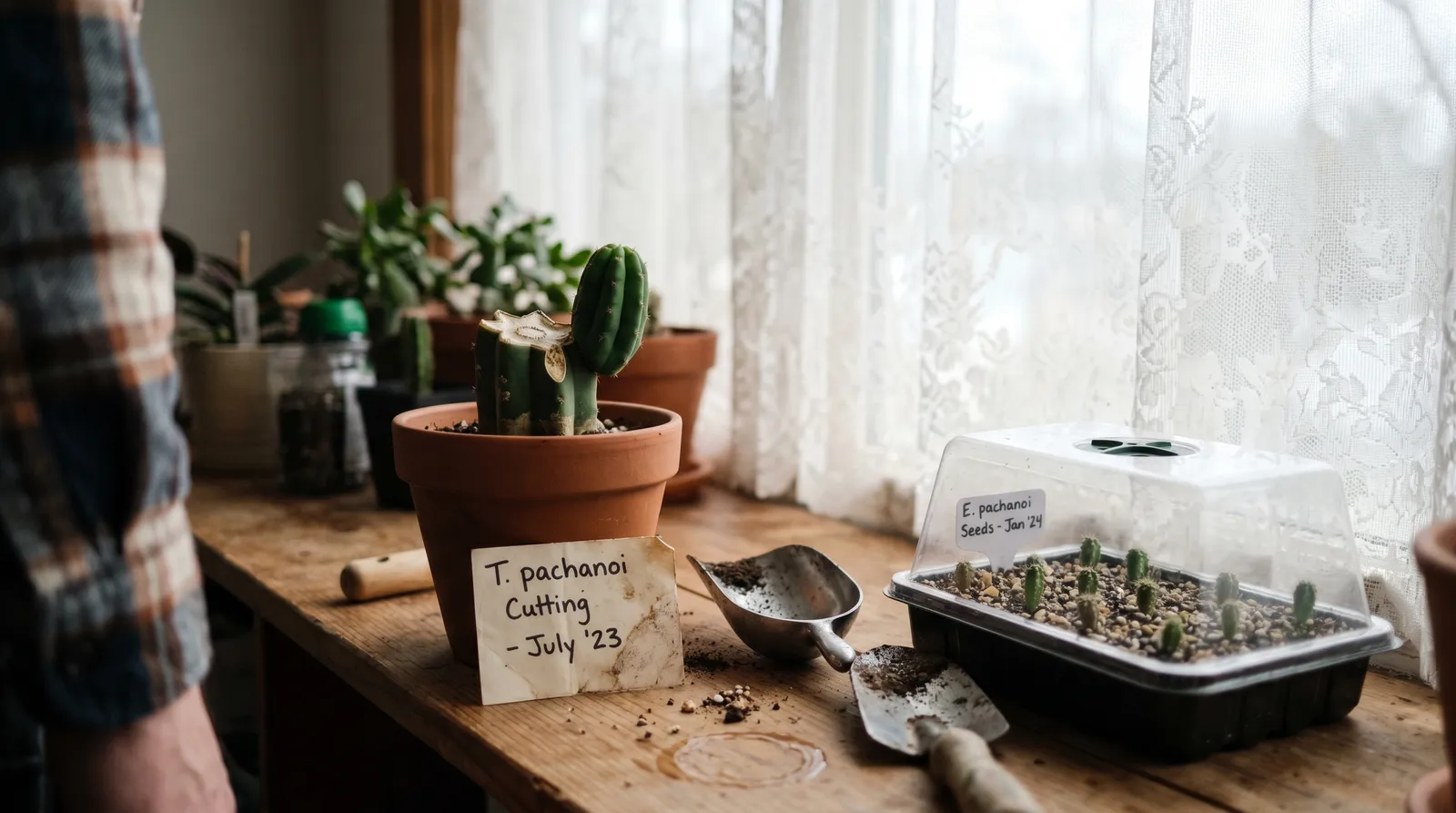 AZARIUS · Step 2: Seeds Versus Cuttings — Pick Your Starting Point