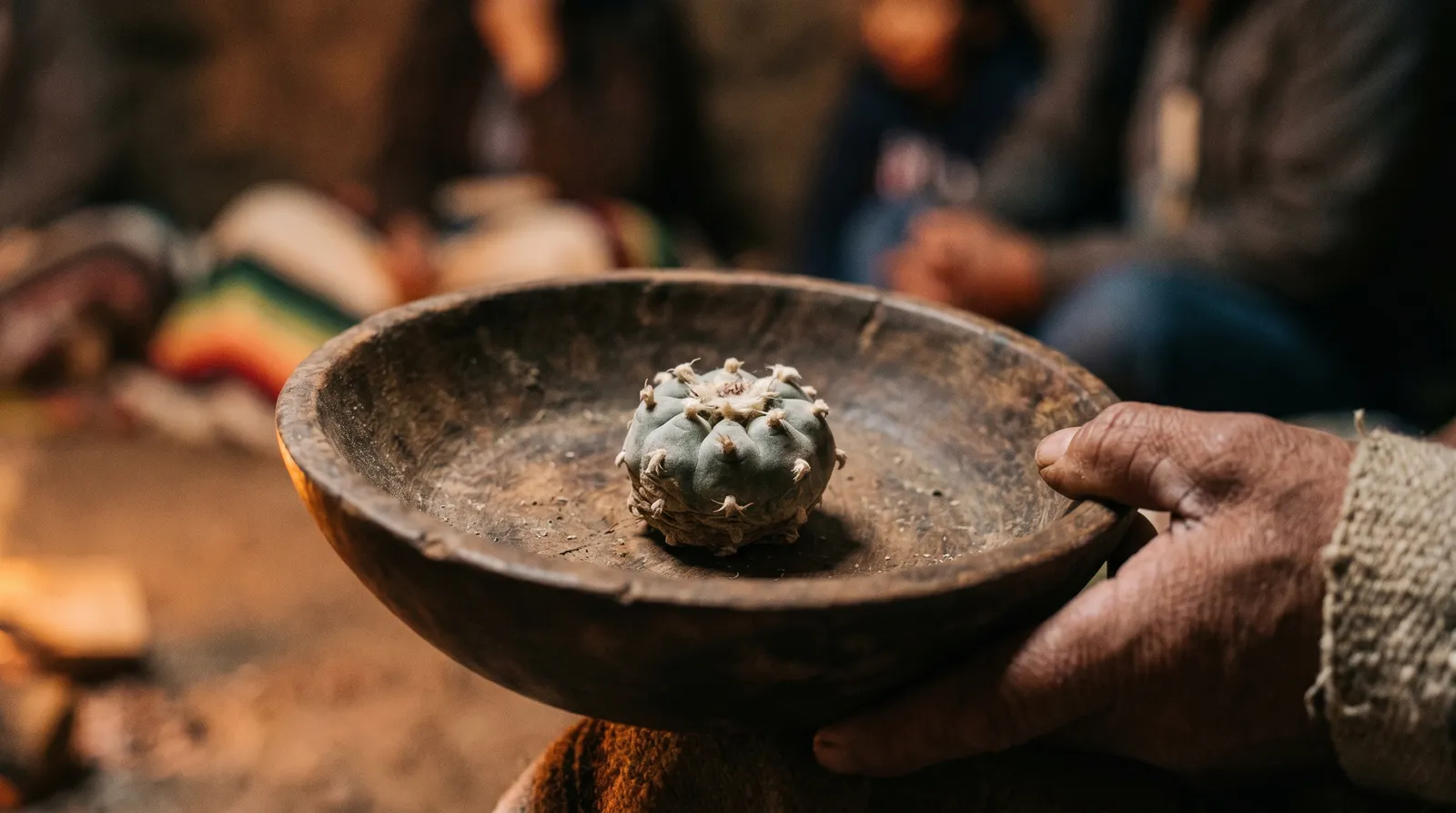 AZARIUS · Cultural Significance and the Conservation Bind